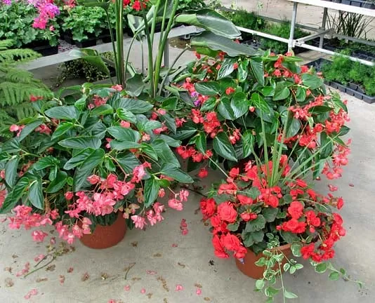 Expert garden landscaping in Ann Arbor, MI by Turner's Garden Center and Landscaping