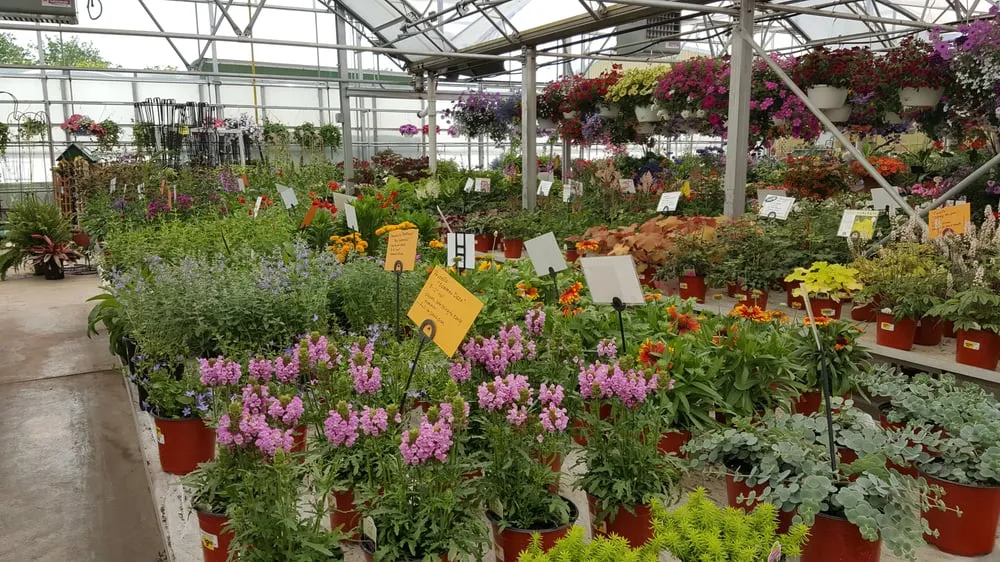 Expert outdoor landscaping in Ann Arbor, MI - Turner's Garden Center and Landscaping