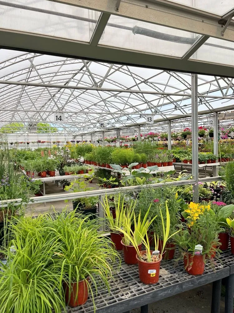 Affordable yard cleanup service experts serving Ann Arbor, MI - Turner's Garden Center and Landscaping