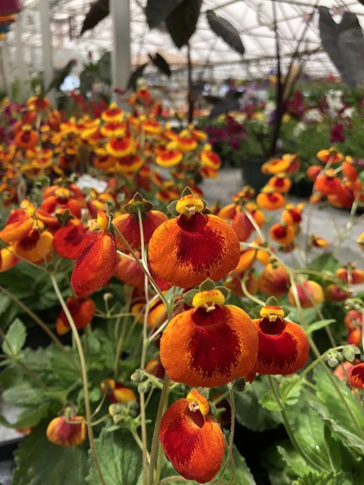 Trusted lawn mowing service experts serving Ann Arbor, MI - Turner's Garden Center and Landscaping