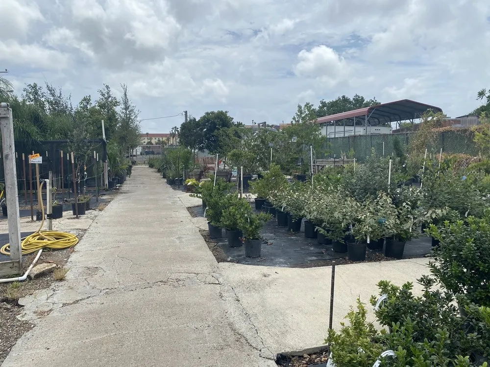 Professional garden landscaping for beautiful yards across Corpus Christi, TX - Turner's Gardenland