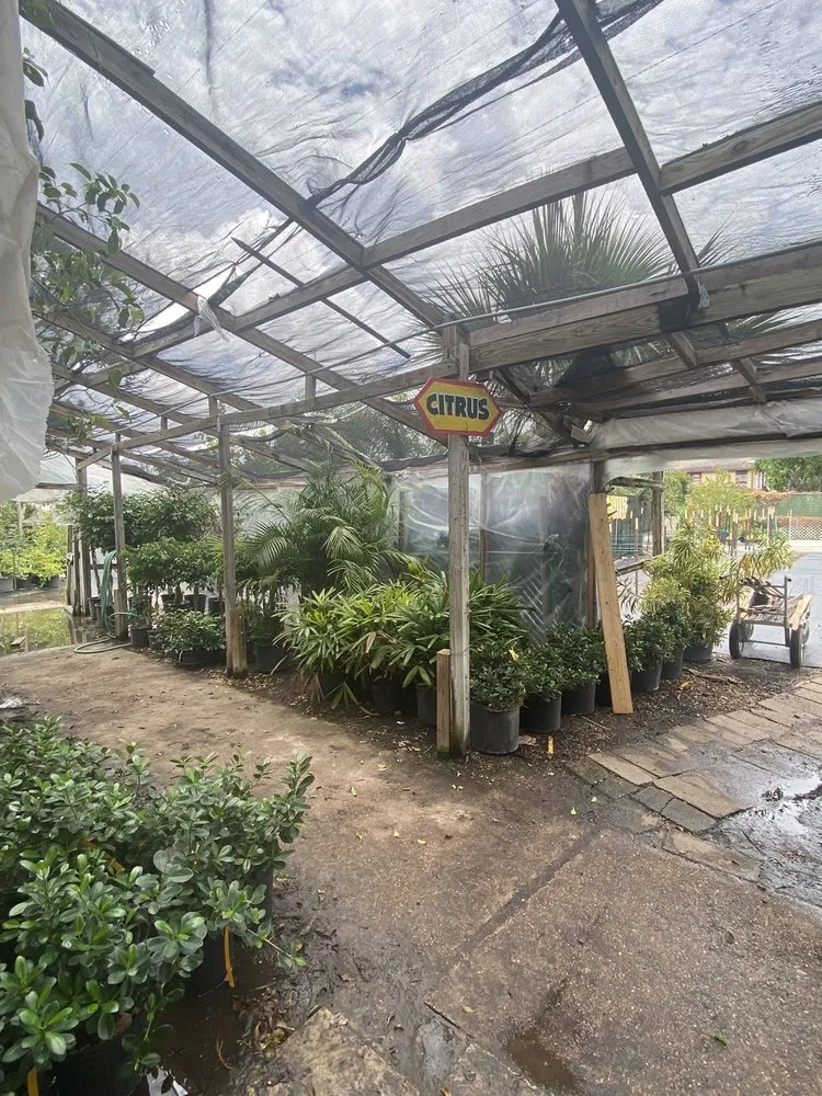 Professional outdoor landscaping in Corpus Christi, TX by Turner's Gardenland