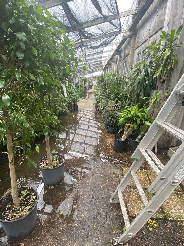 Trusted landscaping services in Corpus Christi, TX by Turner's Gardenland