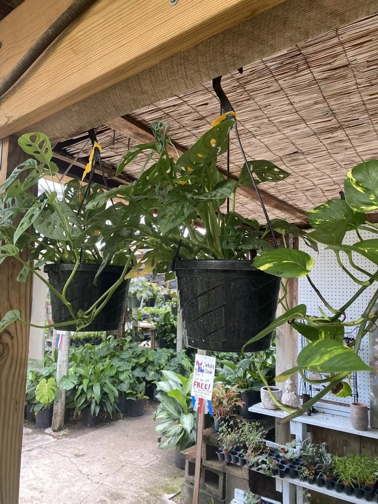 Local outdoor landscaping in Corpus Christi, TX by Turner's Gardenland