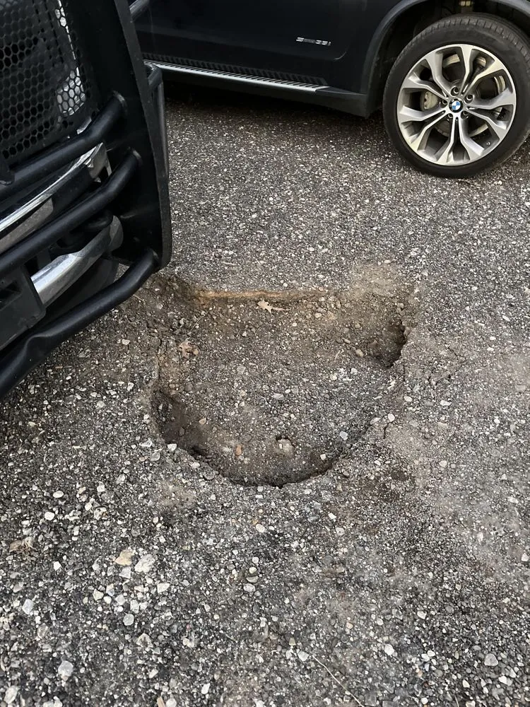 Affordable garden landscaping for outdoor upgrades across Quitman, TX - Turners Land Management