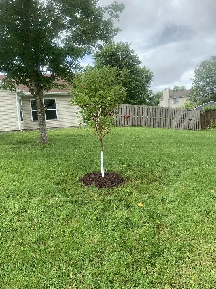 Local landscape installation in Fairview, TN - Turner's Landscaping