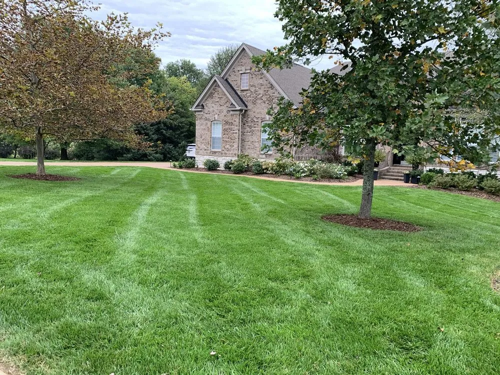 Custom lawn care service for year-round maintenance in Fairview, TN by Turner's Landscaping
