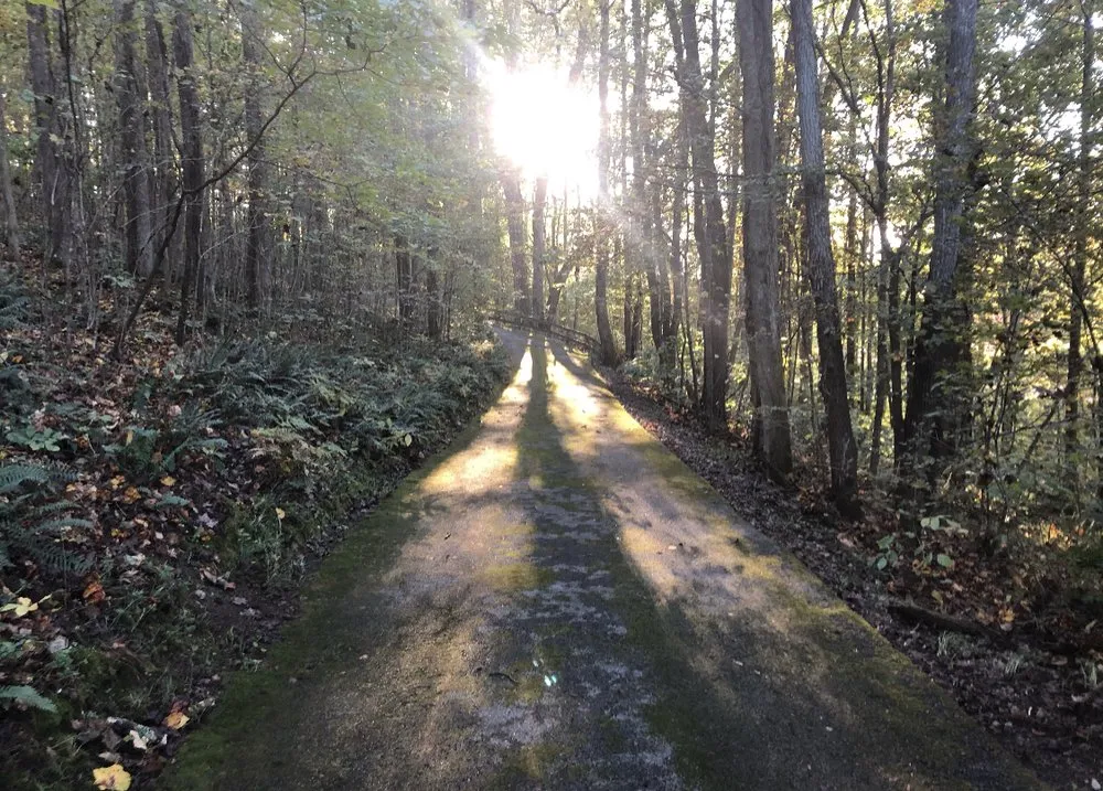 Trusted outdoor landscaping in Fairview, TN - Turner's Landscaping