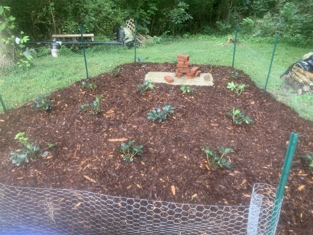 Trusted yard cleanup service in Fairview, TN by Turner's Landscaping