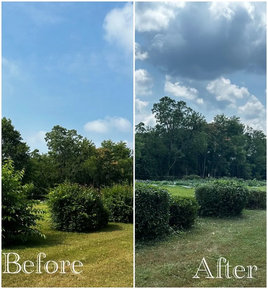 Professional lawn mowing service in Glade Hill, VA by Turners Lawn Care