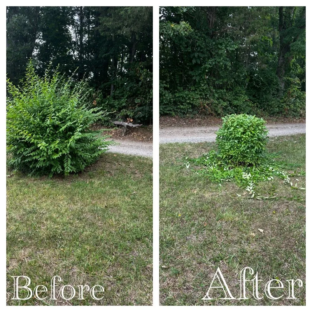 Expert garden landscaping for homes across Glade Hill, VA - Turners Lawn Care