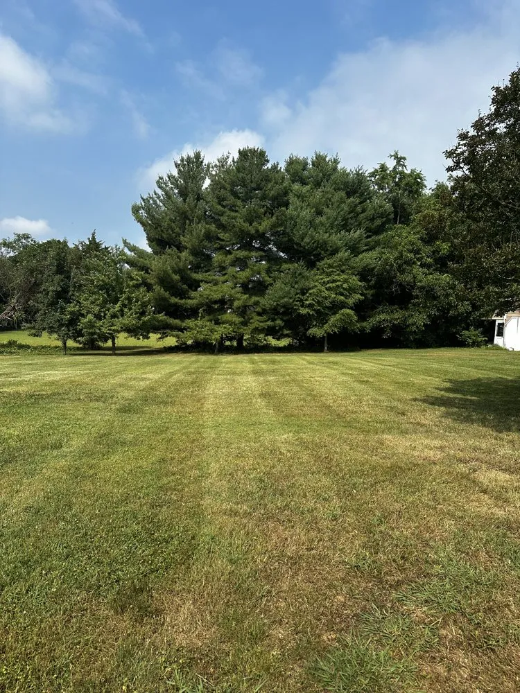 Reliable landscape design for beautiful yards across Glade Hill, VA - Turners Lawn Care