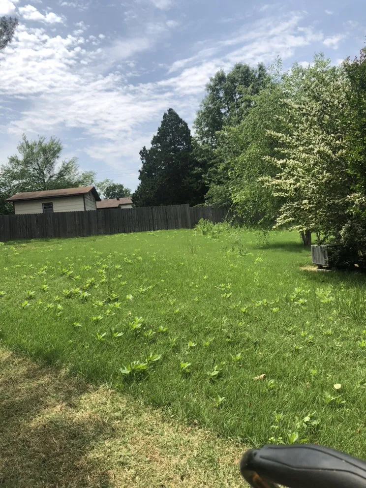 Top-rated garden landscaping for homes in Jonesboro, AR by Turner’s Lawn Care