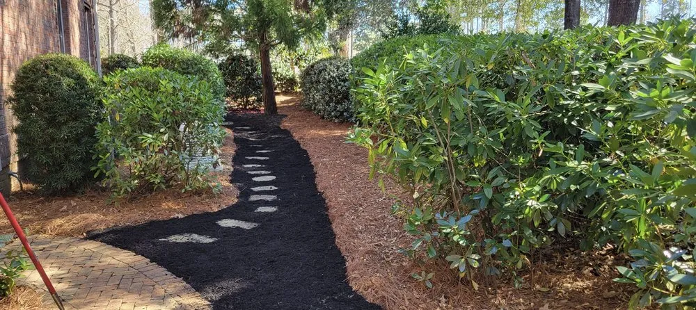 Professional lawn mowing service in Wilmington, NC by Turner’s Lawn Maintenance