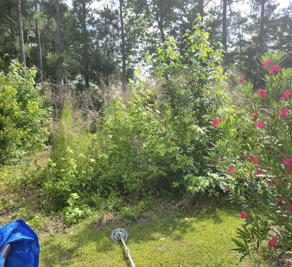 Reliable yard maintenance in Wilmington, NC by Turner’s Lawn Maintenance