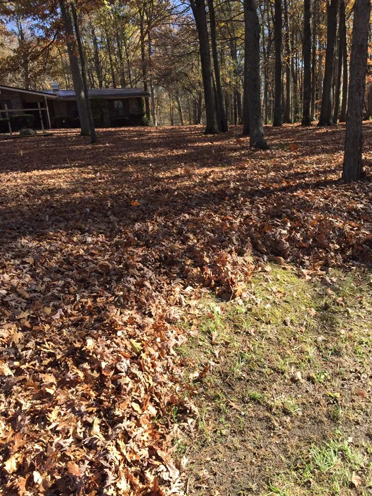 Expert residential landscaping in West Unity, OH - Turner's Lawn Service