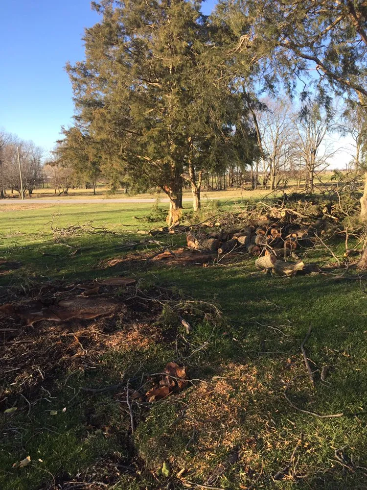 Professional lawn mowing service for year-round maintenance in West Unity, OH by Turner's Lawn Service