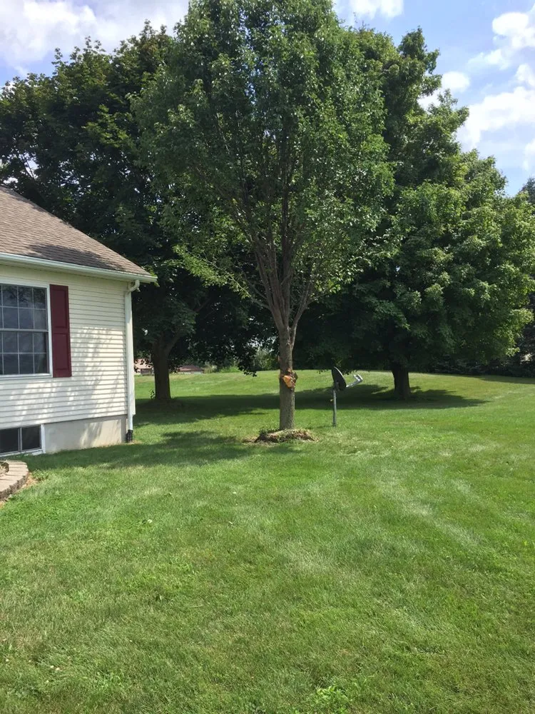 Top-rated lawn care service for homes across West Unity, OH - Turner's Lawn Service
