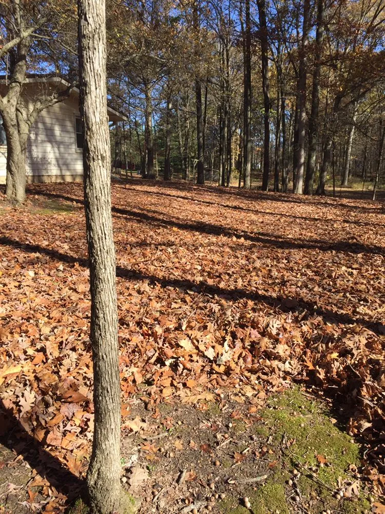 Top-rated landscape design in West Unity, OH - Turner's Lawn Service