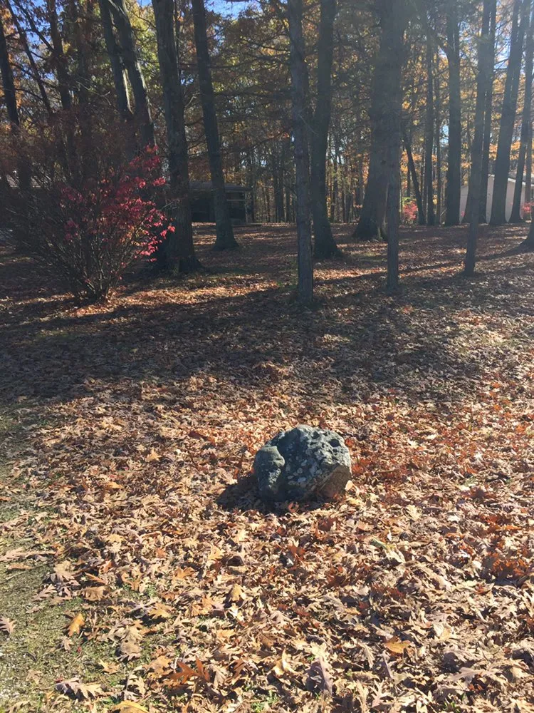 Top-rated landscape installation for year-round maintenance in West Unity, OH by Turner's Lawn Service