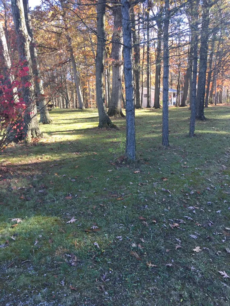 Local residential landscaping in West Unity, OH by Turner's Lawn Service