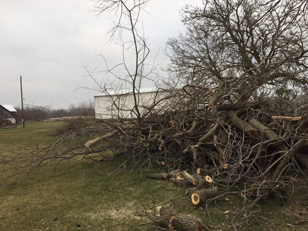 Reliable yard cleanup service in West Unity, OH - Turner's Lawn Service