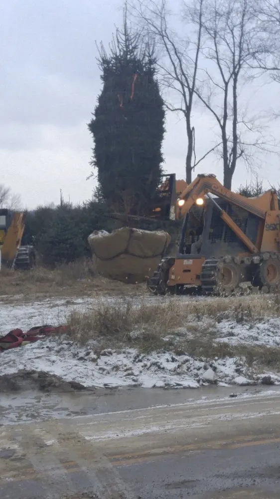 Top-rated yard maintenance for residential properties in Groesbeck, OH by Turners Tree and Landscape