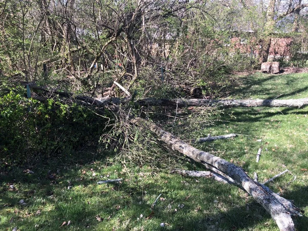 Top-rated outdoor landscaping in Groesbeck, OH - Turners Tree and Landscape