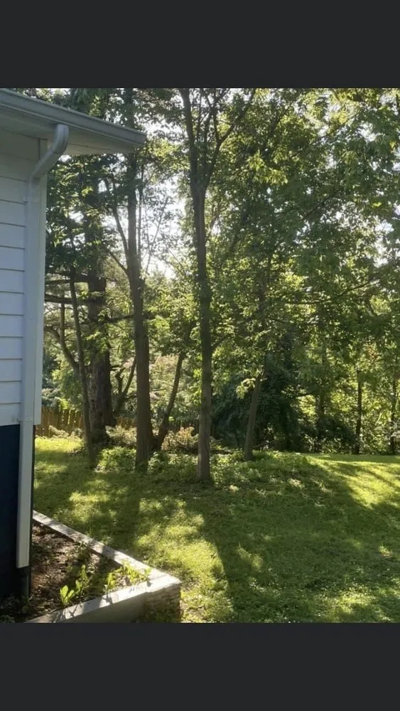 Top-rated residential landscaping with custom design in Groesbeck, OH by Turners Tree and Landscape