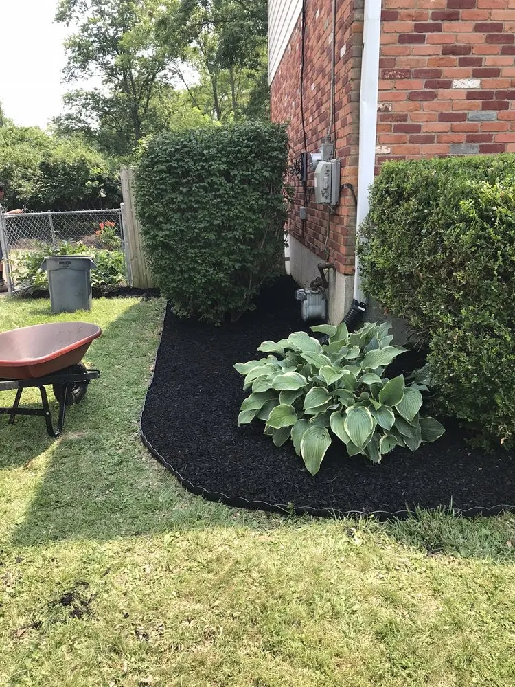 Local yard cleanup service experts serving Groesbeck, OH - Turners Tree and Landscape