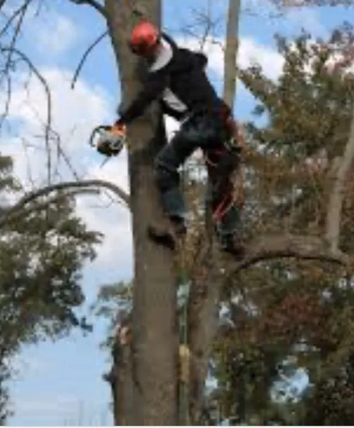 Affordable garden landscaping for outdoor upgrades in Groesbeck, OH by Turners Tree and Landscape