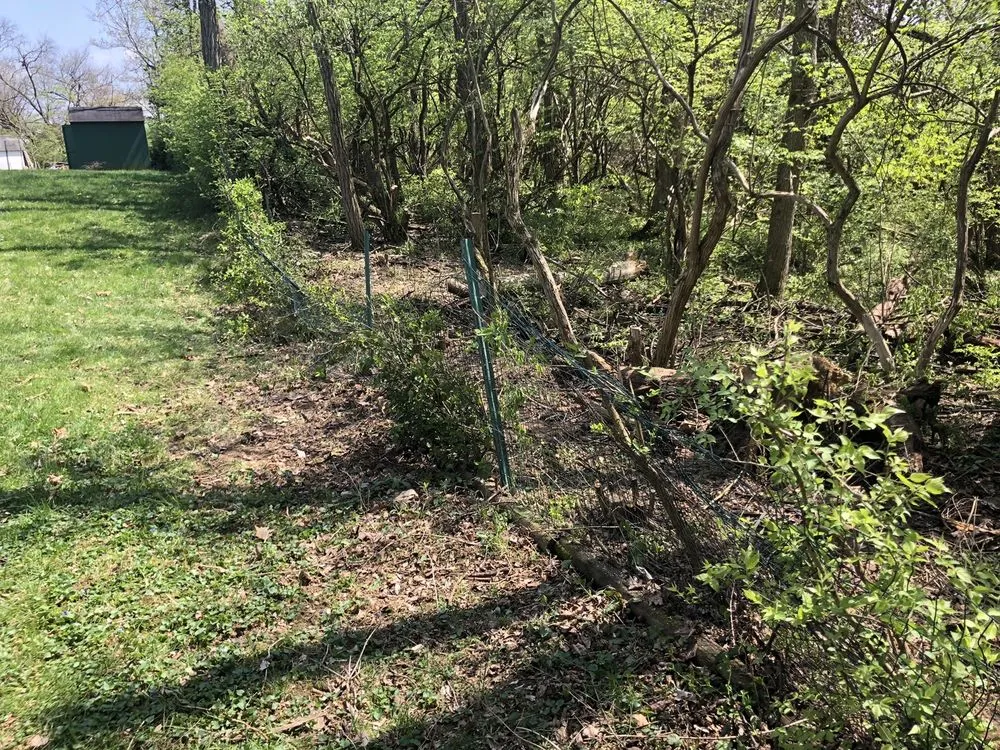 Professional residential landscaping experts serving Groesbeck, OH - Turners Tree and Landscape