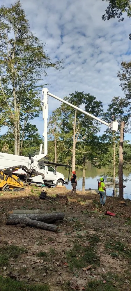Professional garden landscaping in Chesterfield, VA by Turners Tree Service