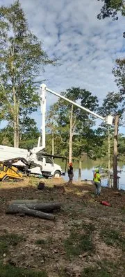 Turners Tree Service Logo