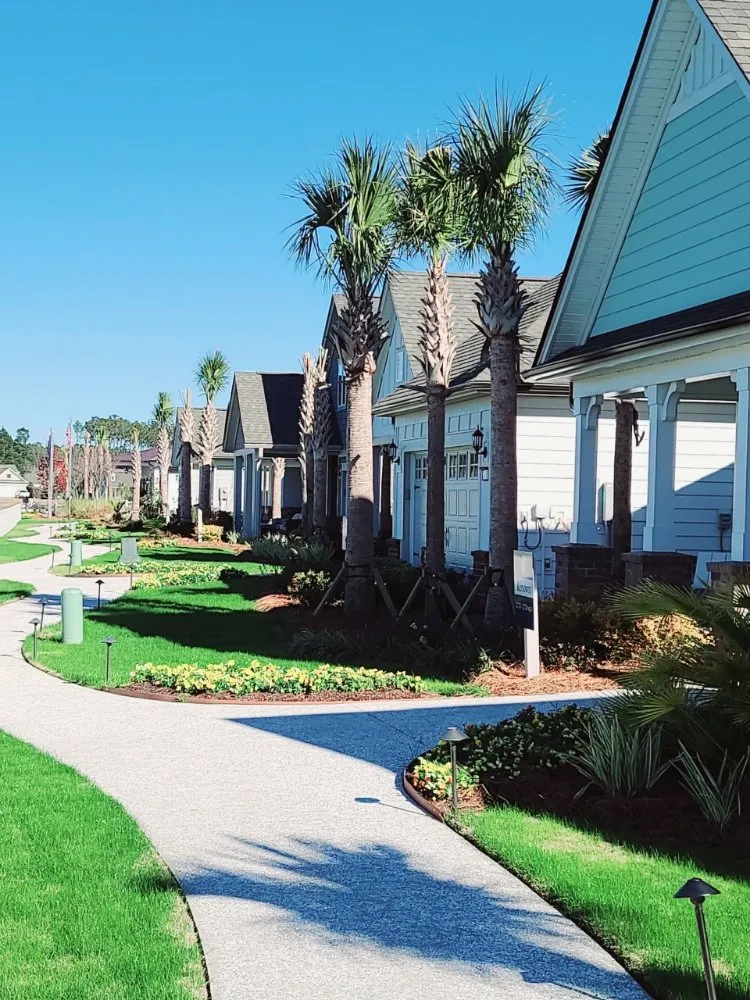 Affordable landscape installation in Orlando, FL by Turnin' Leaves