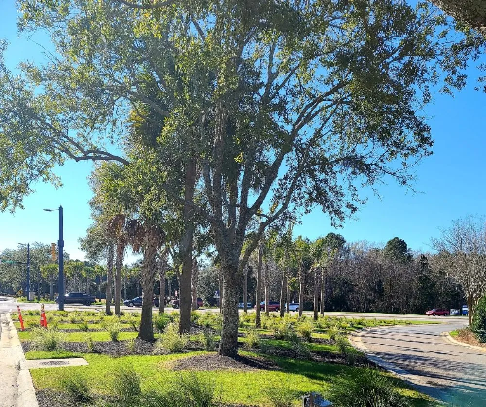 Top-rated outdoor landscaping in Orlando, FL - Turnin' Leaves