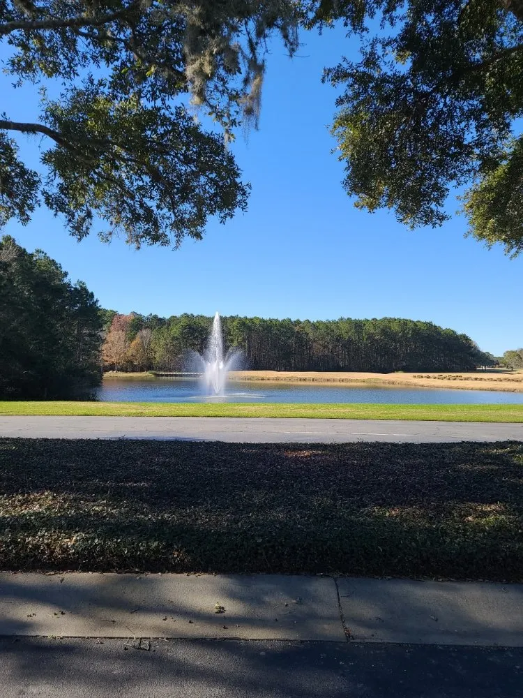 Affordable yard cleanup service experts serving Orlando, FL - Turnin' Leaves