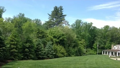 Trusted landscape design for residential properties in Norwalk, CT by Turning Green