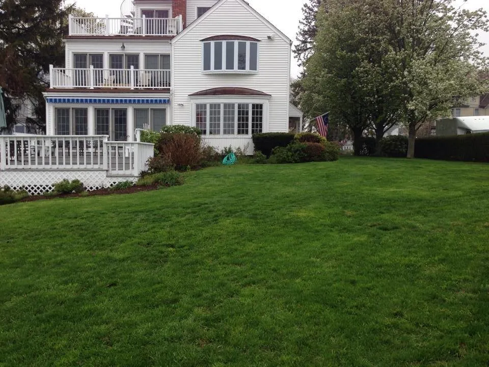 Affordable yard maintenance in Norwalk, CT - Turning Green