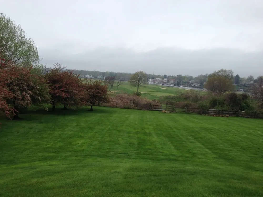 Expert lawn mowing service in Norwalk, CT by Turning Green