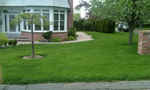 Professional landscaping services in Norwalk, CT by Turning Green