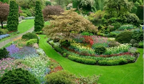 Expert lawn mowing service experts serving Norwalk, CT - Turning Green