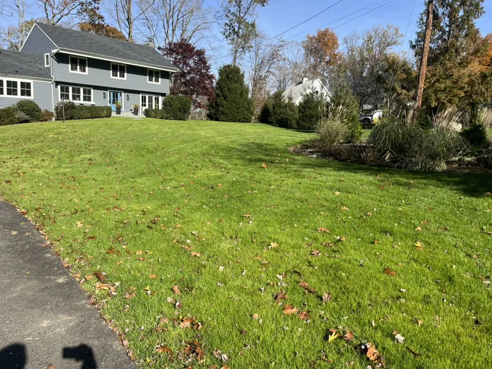Local lawn care service for homes across Norwalk, CT - Turning Green