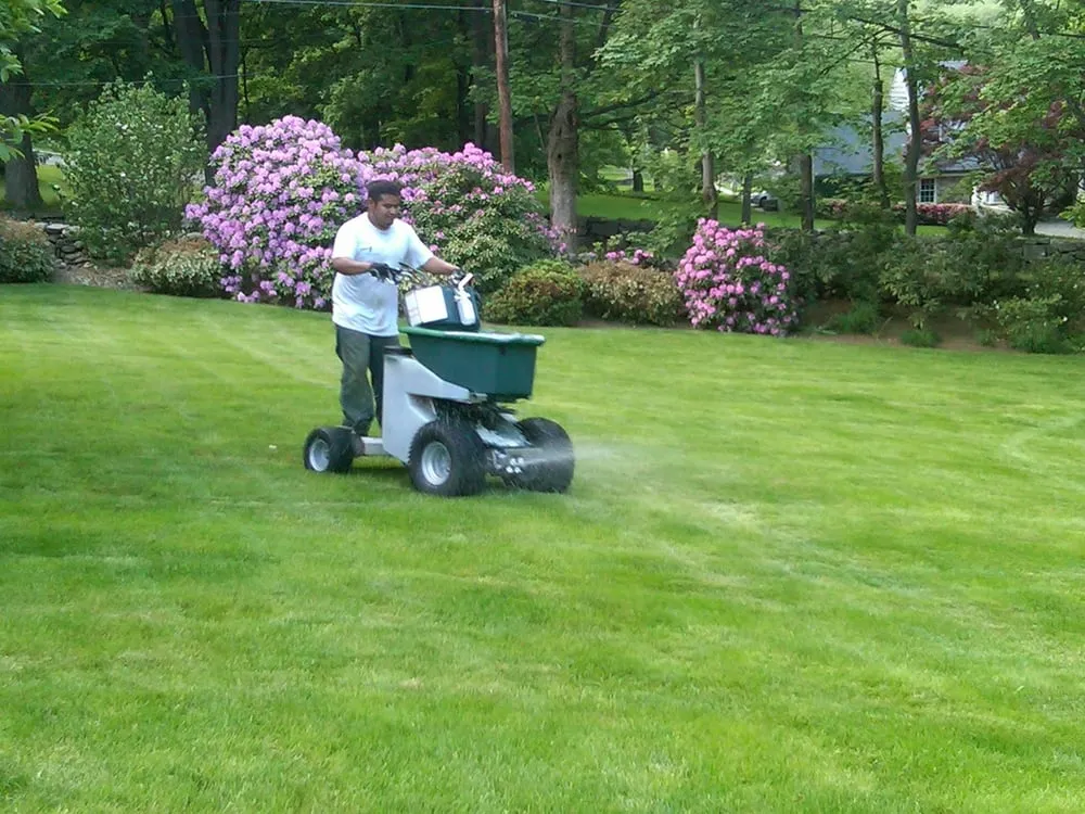 Custom landscape design in Norwalk, CT - Turning Green