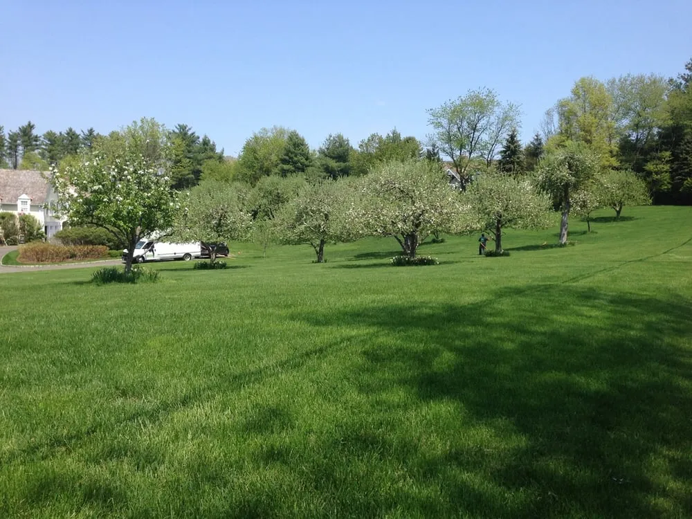 Local garden landscaping experts serving Norwalk, CT - Turning Green