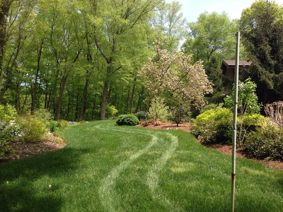 Trusted outdoor landscaping in Norwalk, CT - Turning Green