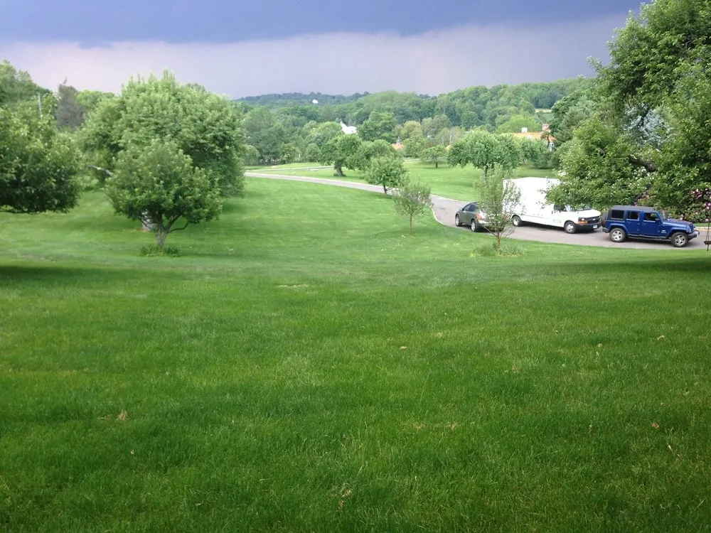 Top-rated lawn care service for beautiful yards in Norwalk, CT by Turning Green