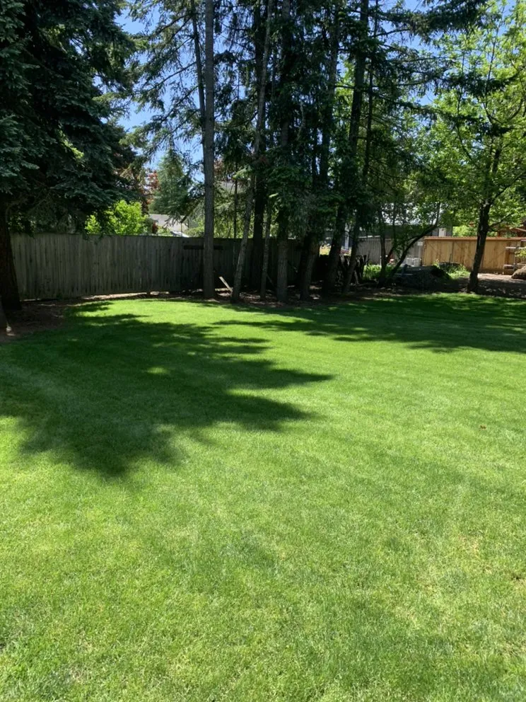 Affordable yard cleanup service in Redmond, OR - Turning Leaf Landscape By Design