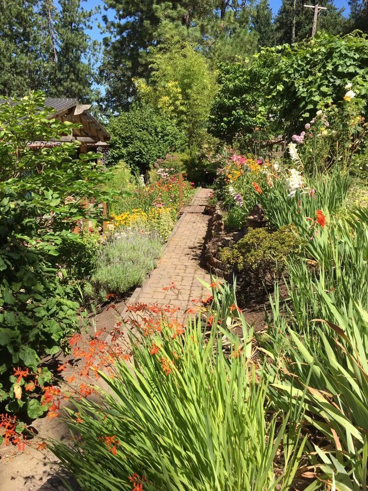 Professional yard cleanup service in Eugene, OR - Turning Leaf Landscape Maintenance