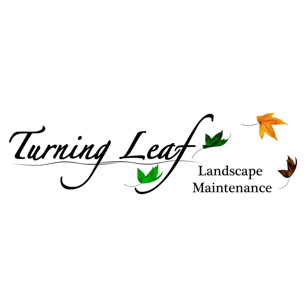 Reliable outdoor landscaping with custom design across Eugene, OR - Turning Leaf Landscape Maintenance